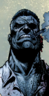 ＮＩＣＫ ＦＵＲＹ