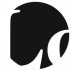 loyaltyclub.wixsite.com