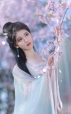Hua Liu Li