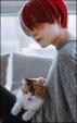 Todoroki Shoto