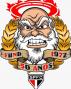 TORCIDA INDEPENDENTE - 50 ANOS