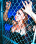 Isla Dawn&reg;