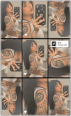 Arᥣᥱᥒᥱ Lᥱᥱ