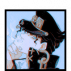 sᴛᴧʀ ✮ ᴘʟᴧᴛɪɴᴜᴍ ∿ ᴢᴧ ᴡᴧʀᴜᴅᴏ ! &mdash; &lsaquo;KUJO&rsaquo;JOTɅRO