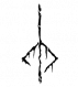 ♆