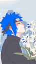 ✣ — ᴊчʜɑᴅ𝆹