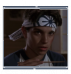 daniel larusso.