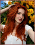 Calliandra Isley