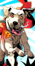 krypto