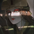    kyoshi