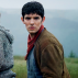 Merlin. 
