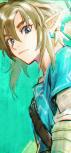 Link