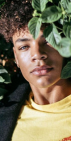 ㅤㅤlouis dupont