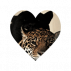 🐆 ꨄ 🐈&zwj;⬛.