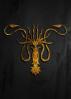 LUCCHESE - KIASYD