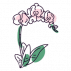 ♡
