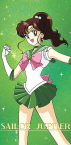Sailor Jupiter ♃ Makoto Kino