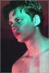 maksim harries donahue