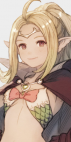 Nowi