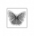 matsulika.