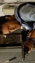 Steve McGarrett