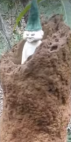 Mestre Ensinador