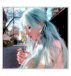 miss dream.