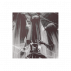 ᚸ⠀⠀𝙽̲𑣿rnas.