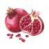 nyssa