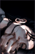 orochi.