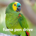 Papagaio