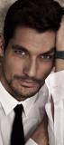 PEDRO OLIVEIRA