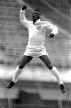 Pel&eacute; Rei