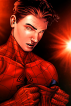 🕷️