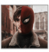 · ᴘεᴛεʀ ʙ. ᴘαʀᴋεʀ ——— ꜰʀɩεɴᴅʟʏ ɴεɩɢʜʙᴏʀʜᴏᴏᴅ 🕷