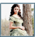 Katherine Pierce.