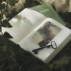˖📖 — Recconti Petunie˖𓍢