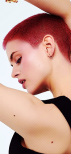  ㅤ Pittsburghㅤ 「 PITTY 」  ㅤHuxley ㅤㅤ 