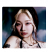 poppч — 파피