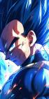 ㅤPrinceVegeta's