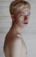          　　 Rhaegarys Targaryen