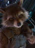 🦝 ∙ 𝑹𝒐𝒄𝒌𝒆𝒕．