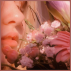 romanticizing ☆
