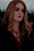 ㅤㅤㅤㅤㅤ⊱ HALE, rosalie