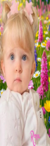 ♕ rσsє ∂є ℓαƒσทταiทє τнrαท∂υiℓ ♕