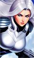 Silver Sable ❀