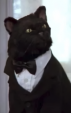 Salem