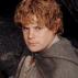 Samwise Gamgee