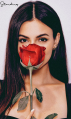 cameron ◈ sʜᴏᴄᴋᴡᴀᴠᴇ