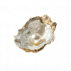 pearls⭑ᐟ